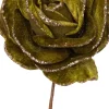 Intratuin kerstbloem roos groen D 20 H 11 cm