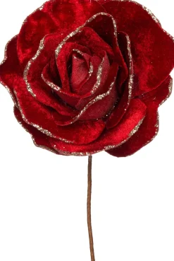 Intratuin kerstbloem roos rood D 20 H 11 cm
