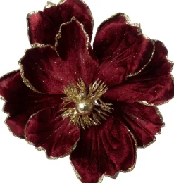 Intratuin kerstbloem Rosy paars D 20 cm