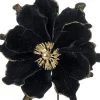 Intratuin kerstbloem Spirit zwart D 20 cm