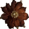 Intratuin kerstbloem Spirit bruin D 20 cm