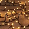 Intratuin kerstboomverlichting ivy met 900 lampjes light gold 20 m