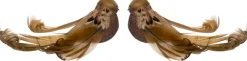 Intratuin kerstclip Joze vogel bruin 13 x 4 x 5 cm 2 stuks