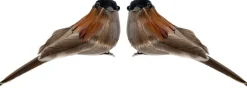Intratuin kerstclip Joze vogel donker bruin 10 x 4 x 5 cm 2 stuks