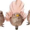 Intratuin kerstclip Liroy vogel roze 12,7 x 5 x 4 cm 3 stuks