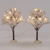 Intratuin kerstdorpminiatuur bomen 24 lampjes warm wit 8 x 8 x 12 cm 2 stuks