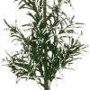 Intratuin kerstdorpminiatuur boom 18 x 16 x 30 cm
