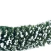 Intratuin kerstdorpminiatuur heg met sneeuw L 30 cm