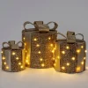 Intratuin kerstfiguur Boxa cadeau glitter goud D 25 H 30 cm