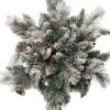 Intratuin kersthanger Ster besneeuwd 30 lampjes warm wit D 60 H 18 cm