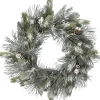 Intratuin kerstkrans met dennenappel besneeuwd D 66 cm