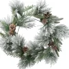 Intratuin kerstkrans Nouty besneeuwd dennenappels D 60 H 5 cm