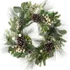 Intratuin kerstkrans wit bessen D 66 H 16 cm