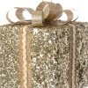 Intratuin kerst ornament Lahja cadeau goud glitter 8 x 8 x 12 cm