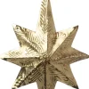 Intratuin kerst ornament Rabius ster goud 13 x 17,5 cm
