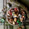 Intratuin kerst ornament Sieni paddenstoel bruin 4,5 x 4,5 x 13 cm
