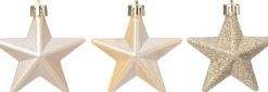 Intratuin kerst ornament Vion ster wit D 7 H 2 cm 12 stuks