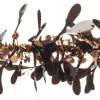 Intratuin kerstslinger met misteltoe zwart 200 cm
