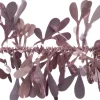 Intratuin kerstslinger met misteltoe roze 200 cm