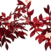 Intratuin kerstslinger met Wisteria bladeren rood 200 cm