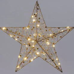 Intratuin kerstster Helmia goud met verlichting D 40 H 8 cm