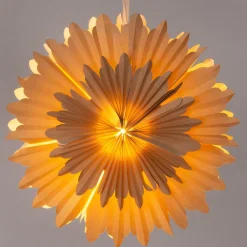 Intratuin kerstster met verlichting Manus bruin D 50 cm