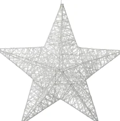 Intratuin kerstster wit met verlichting D 40 H 9 cm