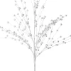 Intratuin kersttak Berry bessen wit 84 cm