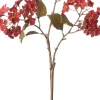 Intratuin kersttak bitterblad rood 104 cm
