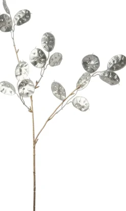 Intratuin kersttak lunaria beige 66 cm