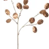 Intratuin kersttak lunaria koper 66 cm