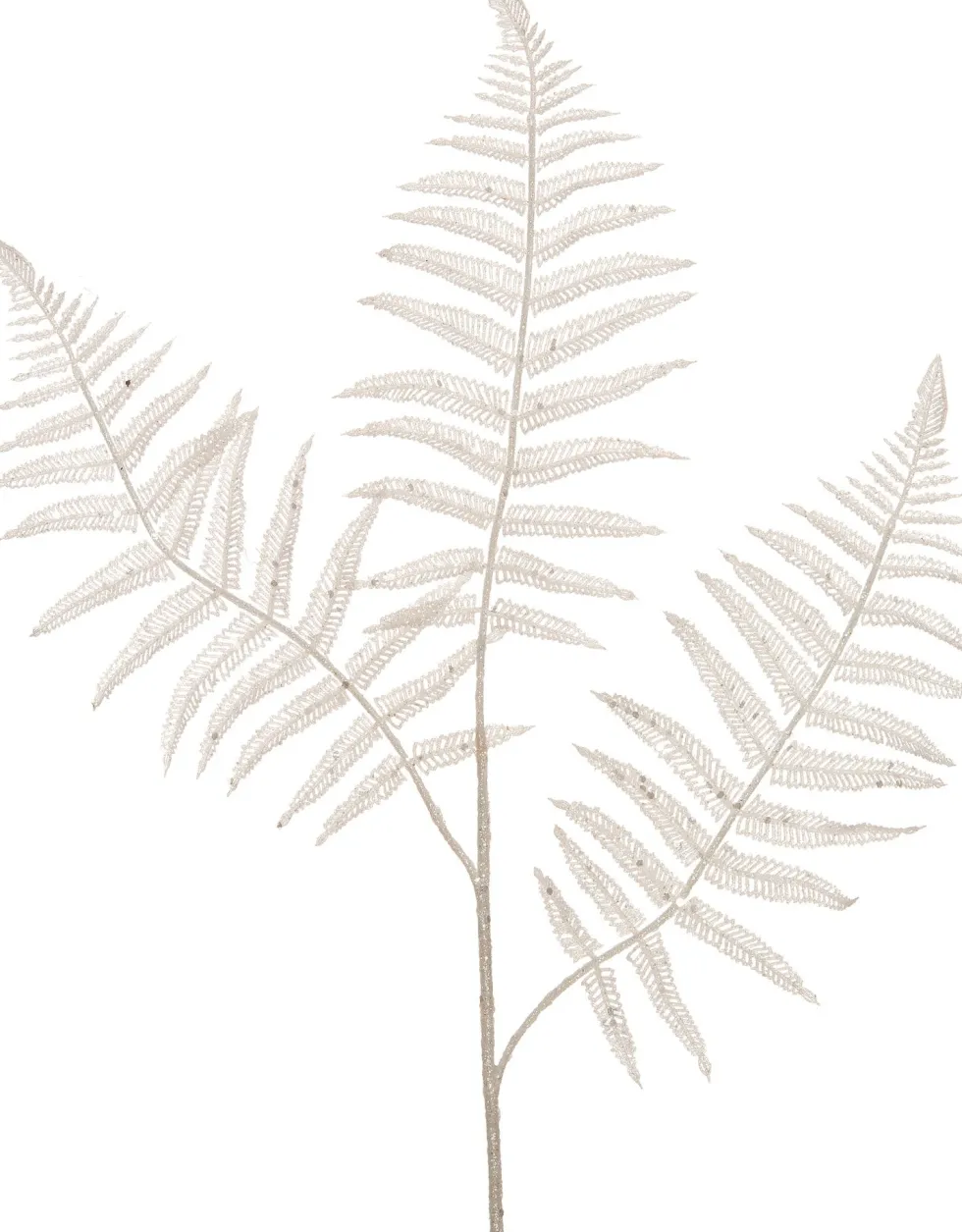 Intratuin kersttak varenblad wit 78 cm