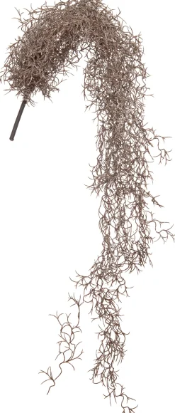 Intratuin kunsthangplant Tillandsia koper D 10 H 90 cm