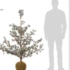 Intratuin kunstkerstboom Nyna besneeuwd D 100 H 150 cm