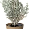 Intratuin mini kunstkerstboom Kraft besneeuwd met 10 lampjes warm wit D 12 H 25 cm