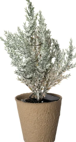 Intratuin mini kunstkerstboom Kraft besneeuwd met 10 lampjes warm wit D 12 H 25 cm