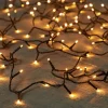Intratuin miniverlichting zwart met 160 lampjes classic warm 8 m