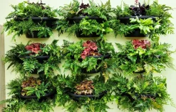 Intratuin muur bloempot zwart 50 x 26 x 21,5 cm