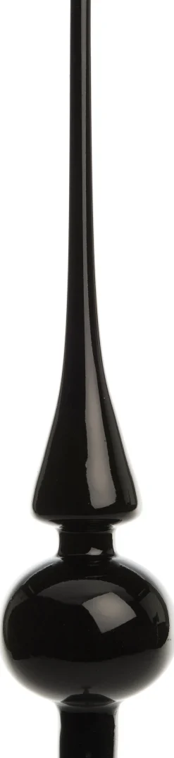 Intratuin piek zwart D 6 H 26 cm