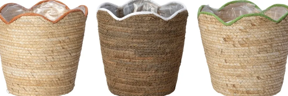Intratuin plantenmand Cairo naturel D 24 H 23 cm