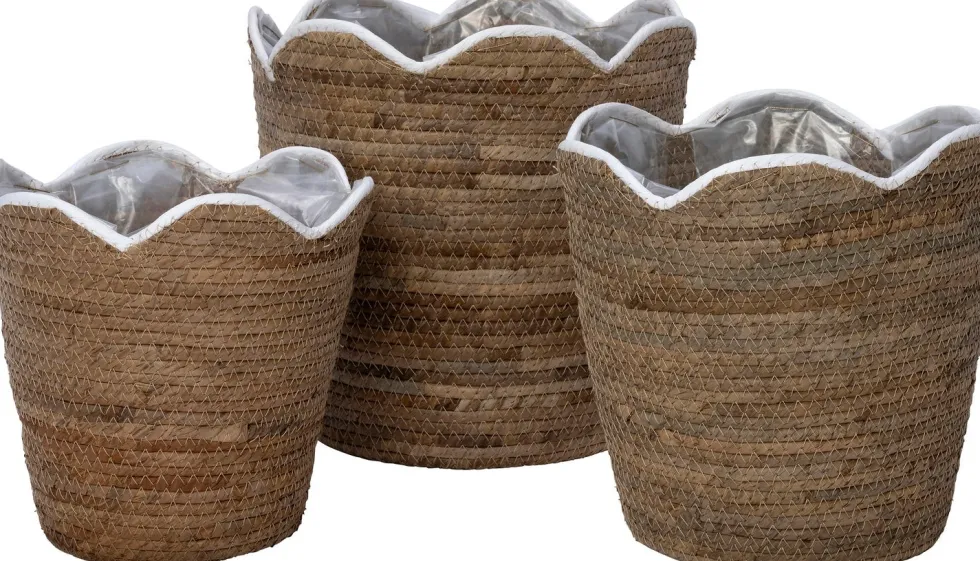 Intratuin plantenmand Cairo naturel D 24 H 23 cm