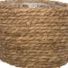 Intratuin plantenmand gras D 22,5 H 20 cm