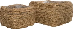 Intratuin plantenmand gras 17,5 x 17,5 x 15 cm