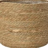 Intratuin plantenmand Topaz naturel D 37 H 29 cm