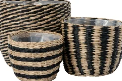 Intratuin plantenmand Yke naturel / zwart D 17 H 13 cm