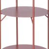 Intratuin plantenrek Diss rood D 40 H 140 cm