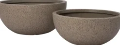 Intratuin plantenschaal Hanneke grijs D 32 H 12 cm