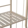 Intratuin plantenstandaard Iron Leaf 55 x 28 x 80,5 cm