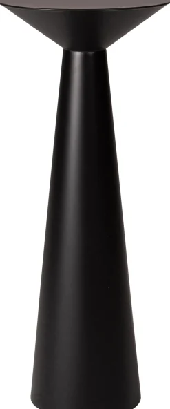 Intratuin plantentafel Modern zwart D 30 H 61 cm