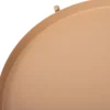 Intratuin plantentafel Salix roze D 27 H 57,5 cm
